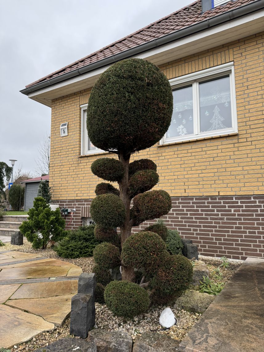 Garten mit Dekor-Elementen